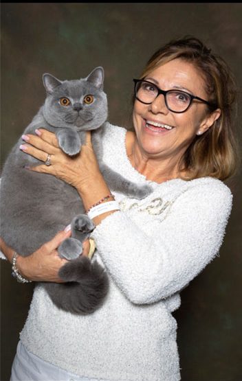 Allevamento british shorthair donatella milina